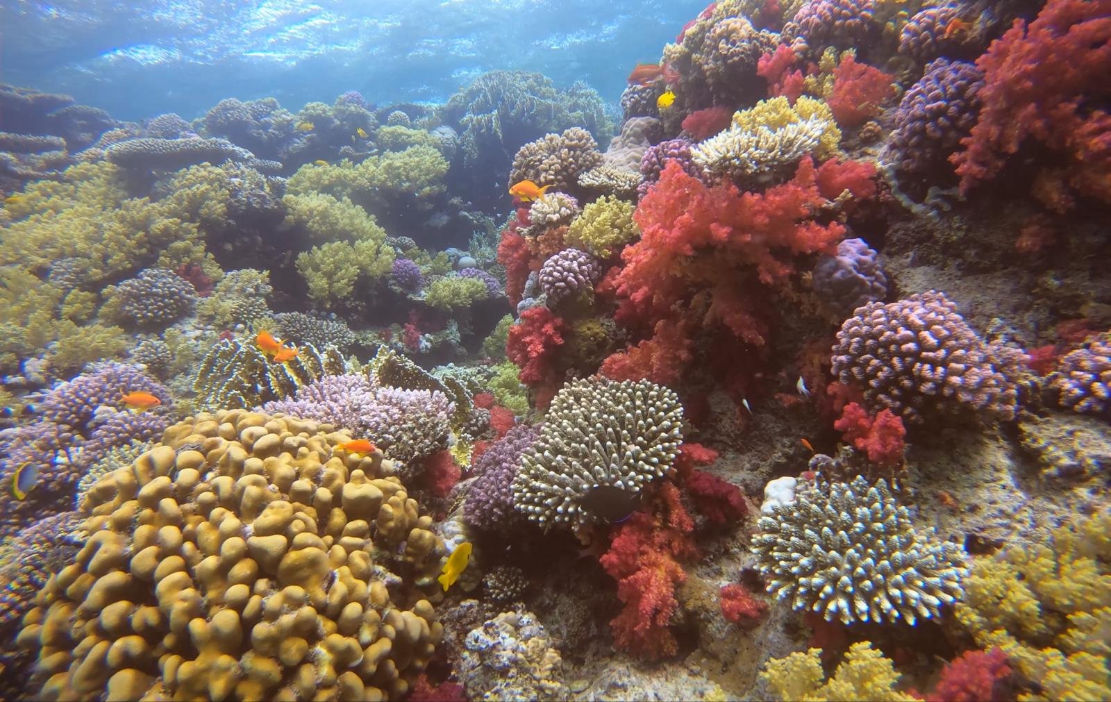 IMG-20250415-WA0032