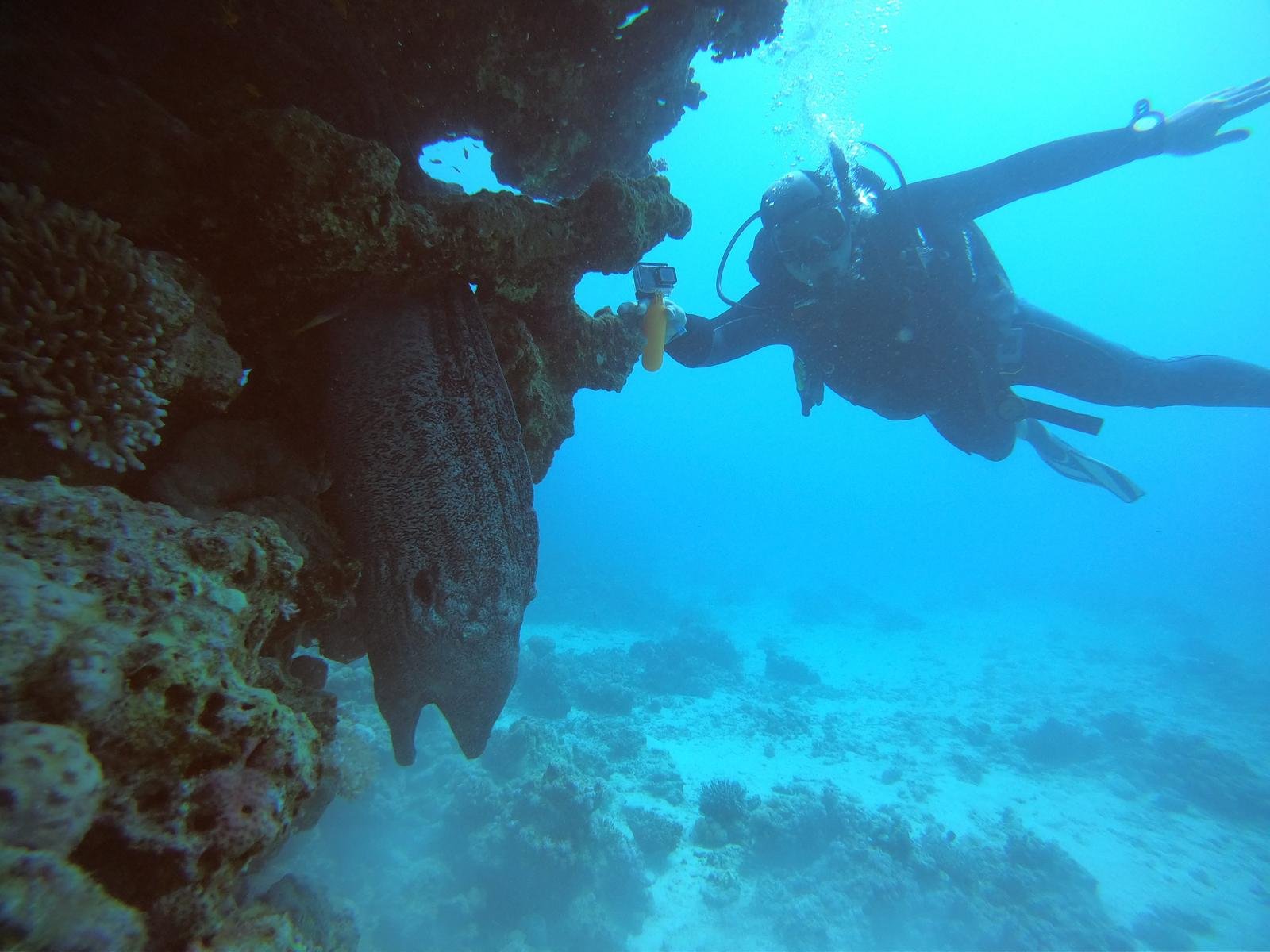 IMG-20250415-WA0045
