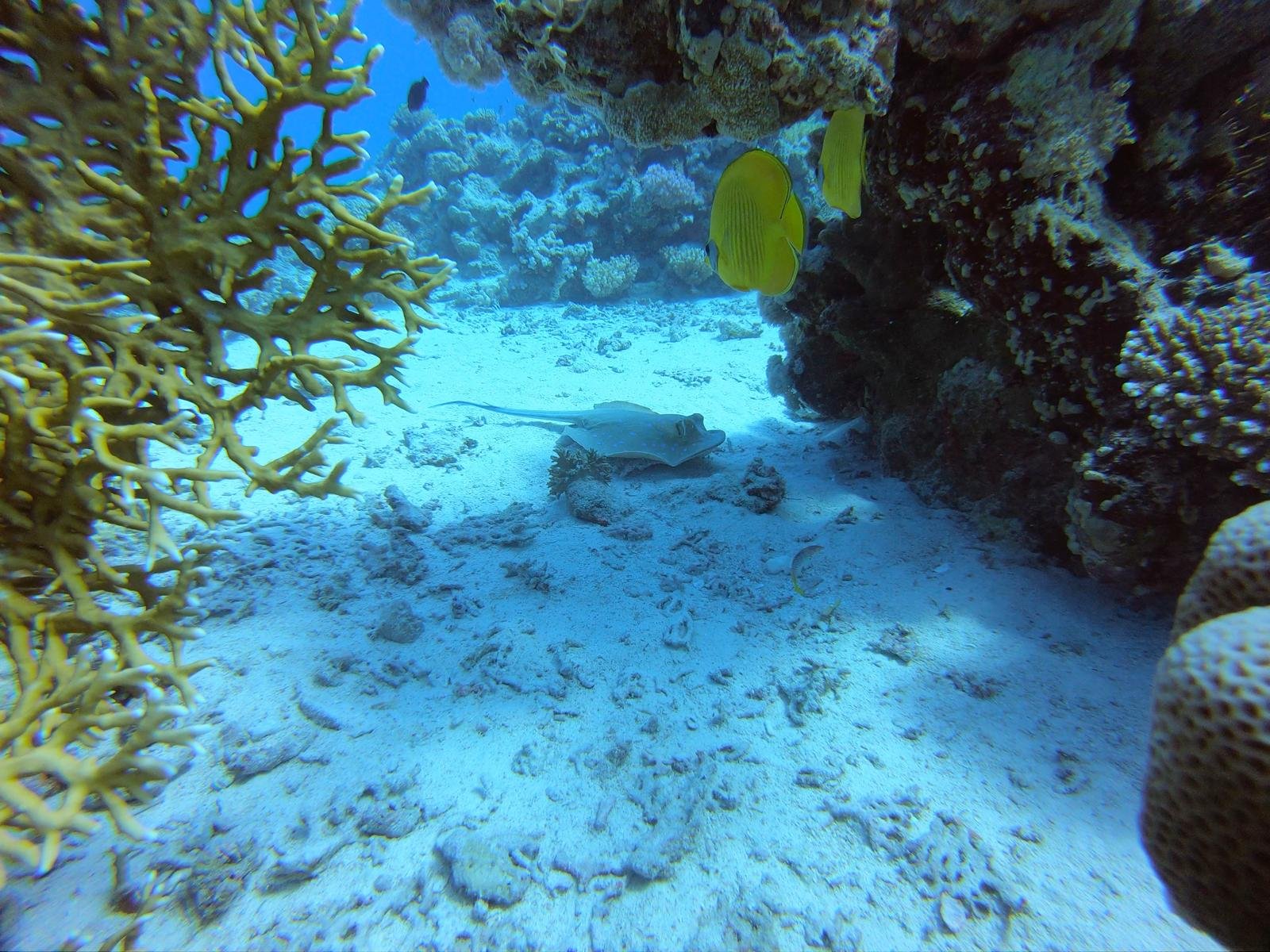 IMG-20250415-WA0039