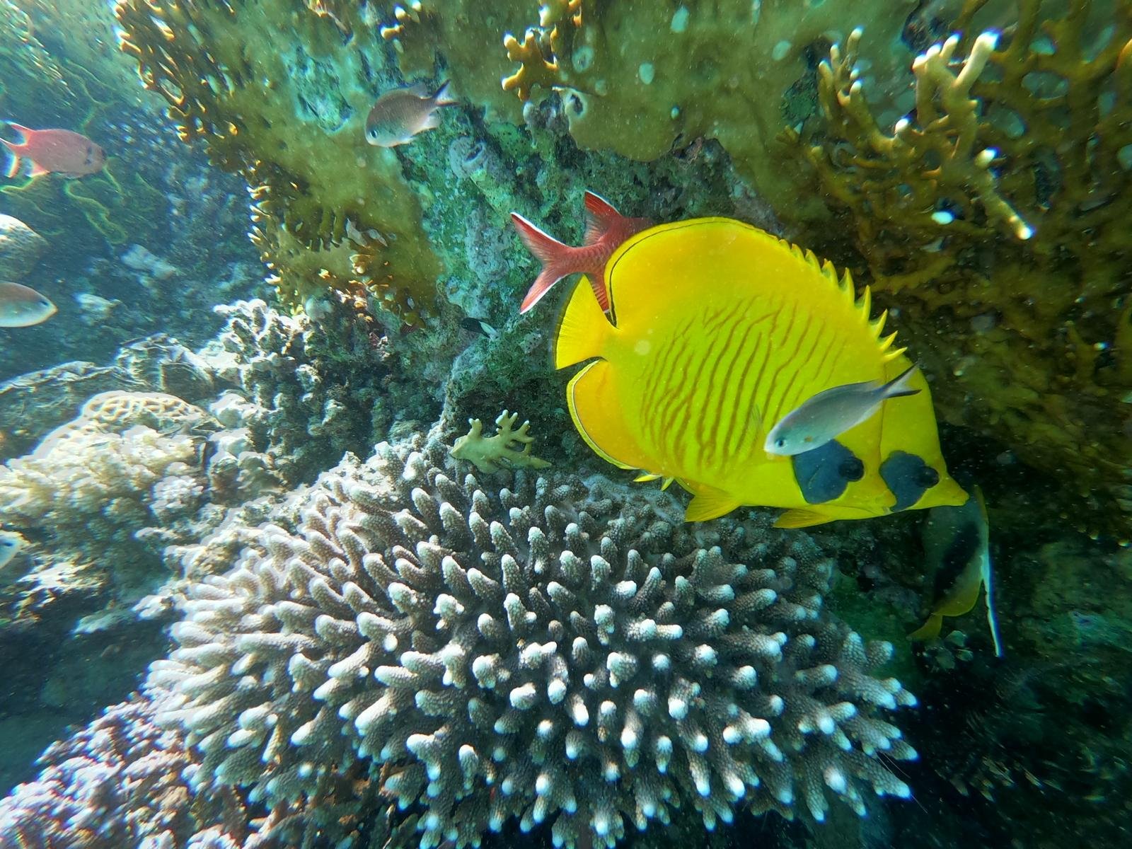 IMG-20250415-WA0042